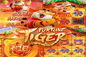 Mobile-focused sports and casino overview for Bangladesh visitors